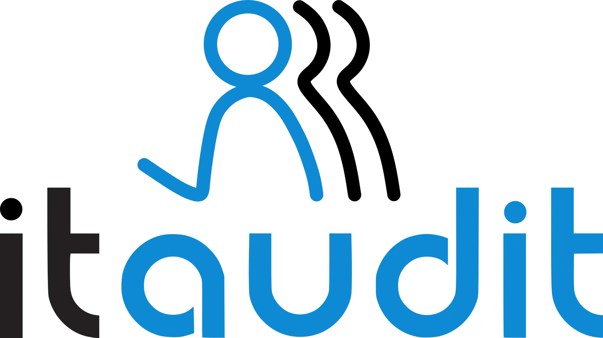 itaudit